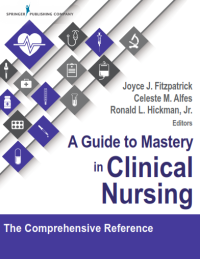 A Guide to Mastery in Clinical Nursing